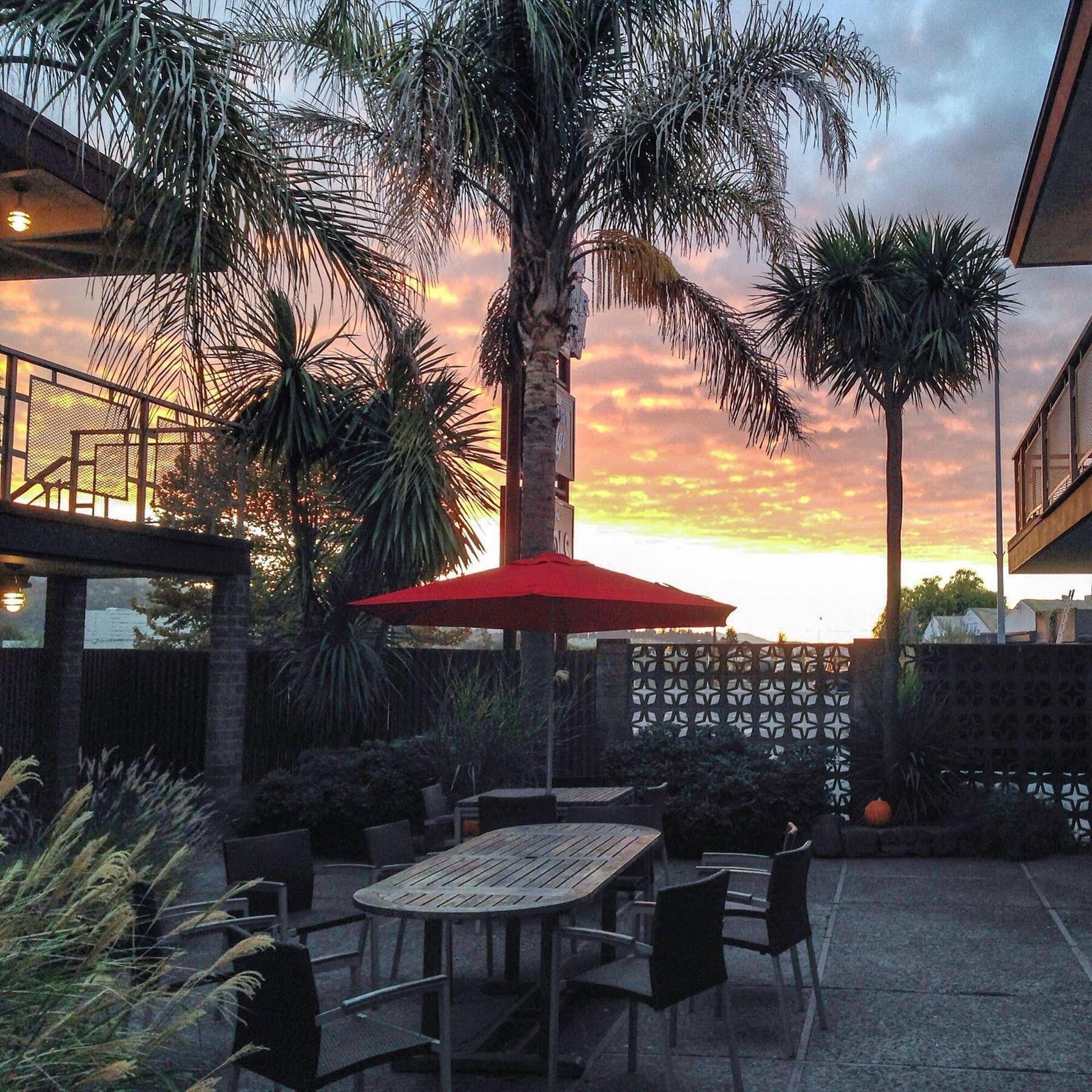 Dr Wilkinsons Backyard Resort And Mineral Springs A Member Of Design Hotels Calistoga Exteriör bild